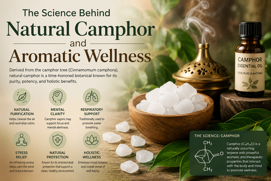 The Science Behind Natural Camphor and Aromatic Wellness