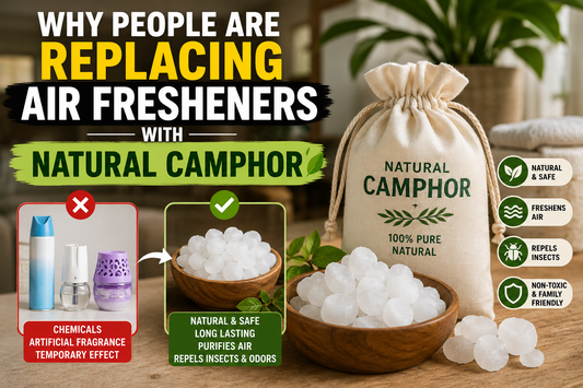 Why People Are Replacing Air Fresheners with Natural Camphor