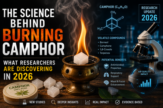 The Science Behind Burning Camphor: What Researchers Are Discovering in 2026