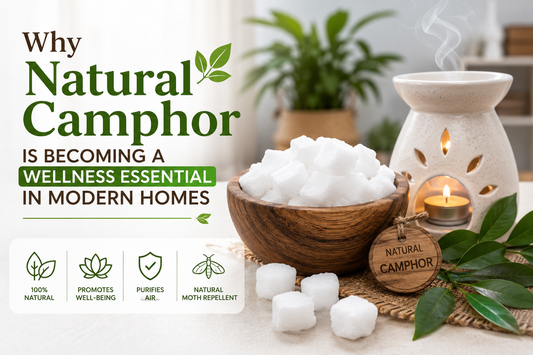 Why Natural Camphor Is Becoming a Wellness Essential in Modern Homes