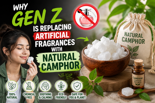 Why Gen Z Is Replacing Artificial Fragrances with Natural Camphor